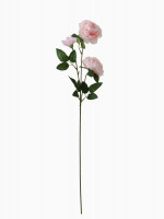 ����� ������������� ����� �������, 8 60 ��, �������