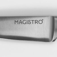     Magistro Fedelaso,   8,9 ,  