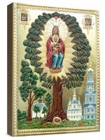 ������� ������������ ����� ��