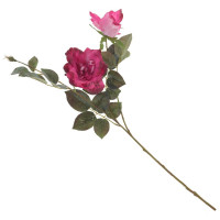 ������ ������������� ����, L21 W18 H80 ��, 2�.