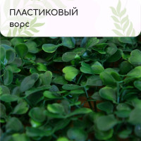  , 25 25 , , Greengo