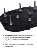  -   ,   ,  2 ., Greengo