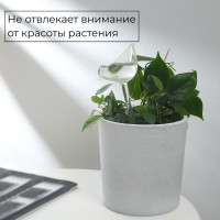     , 90 , , Greengo