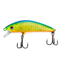 ������ Namazu Shinga, 7 ��, 8 �, ������, ��������� (0-0.5 �), ���� 7