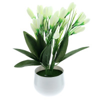 ��������� ���������� �������, L18 W12 H28 ��