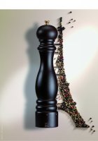  Paris Peugeot   30 , :, 