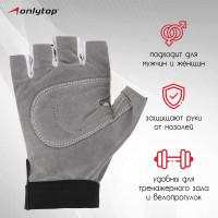   Onlytop, . M,  