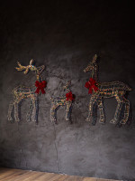   Frosty  , 64, 100, 100 , 1740 Led, 220v,   