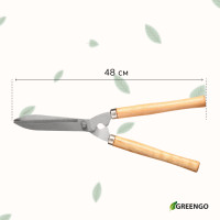 , 19 (48 ),   , Greengo