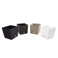   Rato Low Drts400l-s449  2  37  64