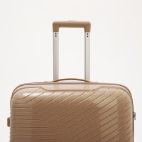   100  (l),   ,  , 4 ,  