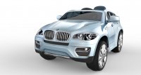   Bmw 6    