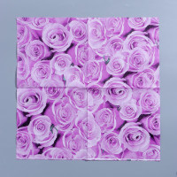   , 33x33 ,  20 .,  