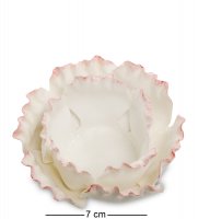 Cms-06/ 5   (pavone)