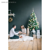    . , 150 , D   100 , 508   