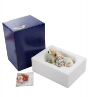 Cms-12/17     (pavone)