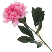 ������ ������������� ����, L18 W16 H80 ��