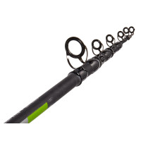   Salmo Blaster Tele Carp,  1-100 .,  3 .