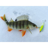  Lucky John Nordic 4 + , 4 ,  29 