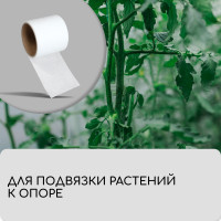  , 10 0.08 ,  60 / ,   -, , Greengo,  20%