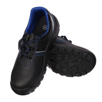    Prosafe Basic 23,  ,  43