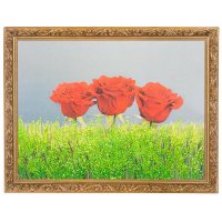 ������� "��� ����" ����� ���� �4 (30�40 ��) Zd04