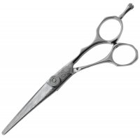    Dama Integral 6.2