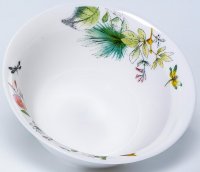 ����� ������ ����, �������� 320�� 130��,