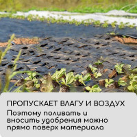  ,  , 10 1.1 ,  100 / , , Greengo,  50%
