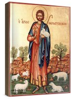 ����������� ������������  (���������� �����)