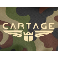  Cartage -13,  , 10 , 261919 