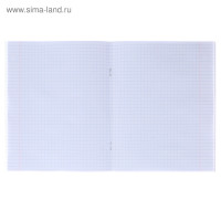  36   , Calligrata   , 