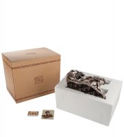 Ws-657  ,  