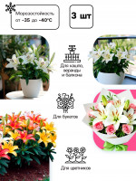    ,     , - 14/16, 3 .