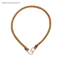     Torso, 80 , D10 ,  , 