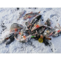  Lucky John Classic 4, 4 ,  29