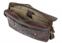 ����� ����� ����� Mano Don Leon, ����������� ���� � ���������� �����, 38 �