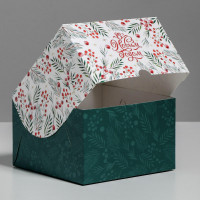 ������� ��� ��������� �� ����� ����� 16 � 16 � 10 ��