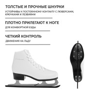   Winter Star Basic, . 38