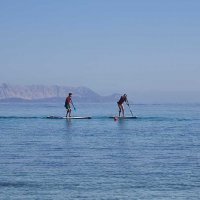  Sup  Red Paddle 2019 106x24 Max Race Rss