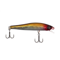  Namazu Imho, 7 , 5.4 , ,  (0.5-1 ),  10