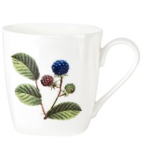  Nouvelle Home Floristry 360 ,  ,     