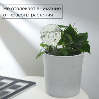     , 140 , , Greengo