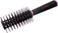  R 9536 Picta     (12/120)
