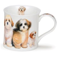 ������ Dunoon ��-���.������� 300��