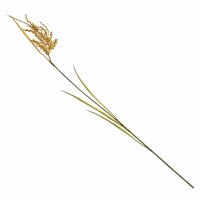 ������������� ������ ������� ����������, 70��, 2�