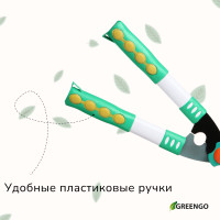 , 19 (48 ),   , Greengo