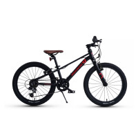  20 Maxiscoo 7bike M200,  