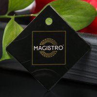  Magistro Volt,  
