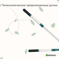 , 31 44,5 (79 113 ), ,    , Greengo